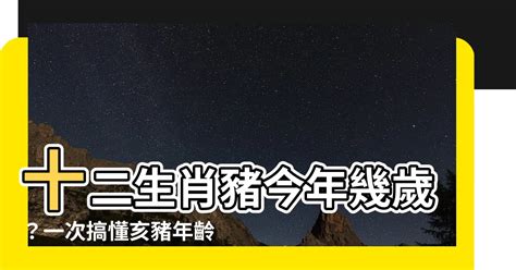 屬豬幾年次|屬豬今年幾歲 豬年是民國西元哪幾年